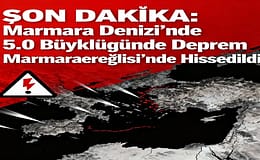 SON DAKİKA: Marmara Denizi’nde 5.0 Büyüklüğünde Deprem İstanbul Ve Çevre İllerde Hissedildi