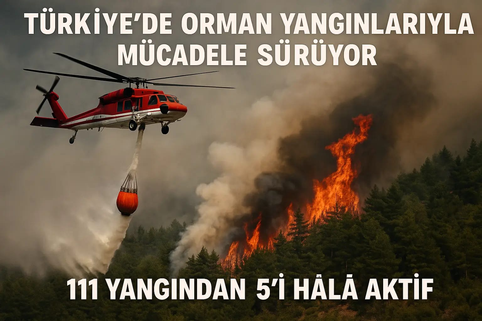 Türkiye orman yangını