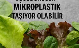 Salatanızdan Bedeninize Mikroplastik: Görünmeyen Tehdit