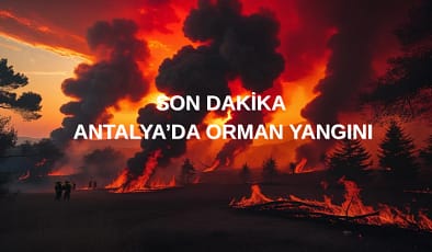 Son Dakika : Antalya’da Orman Yangını 25.07.2025