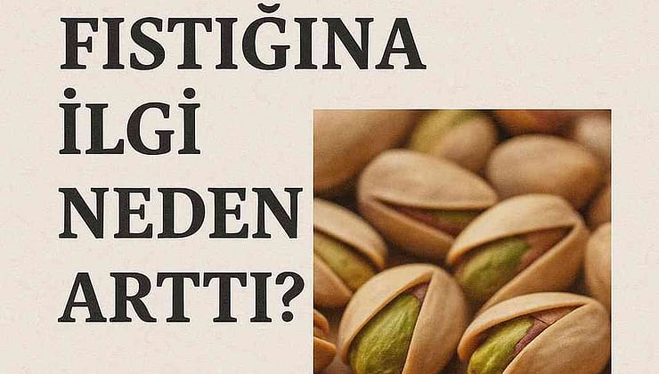 Antep Fıstığı Neden Bu Kadar Popüler Oldu? Sağlık Mucizesi mi, Sosyal Medya Trendi mi?