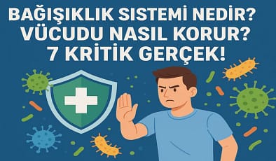 Bağışıklık Sistemi Nedir? Vücudu Nasıl Korur? 7 Kritik Gerçek!