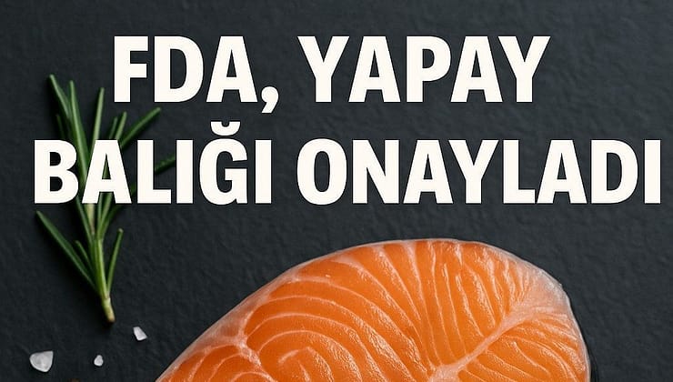 Yapay Balık Etine İlk Onay