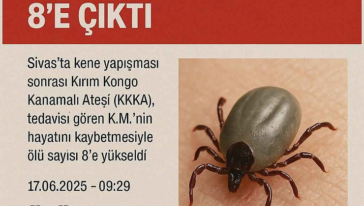 Kene Kabusu Büyüyor: Sivas’ta KKKA Kaybı 8’e Yükseldi