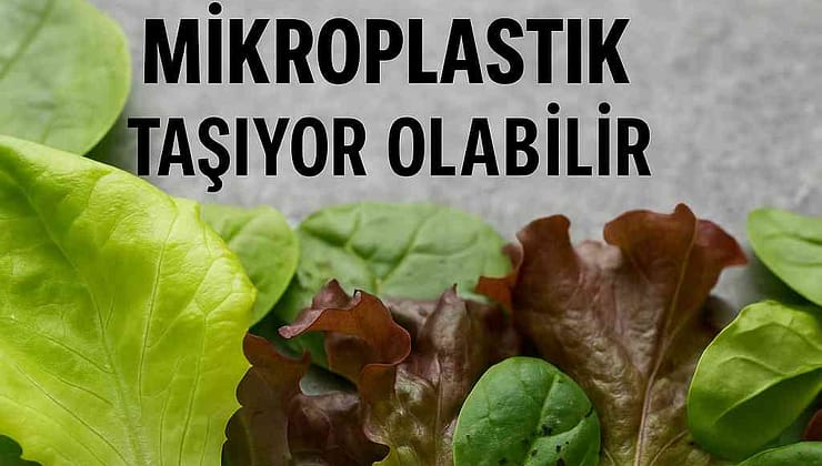Salatanızdan Bedeninize Mikroplastik: Görünmeyen Tehdit